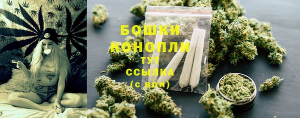 трава Аркадак