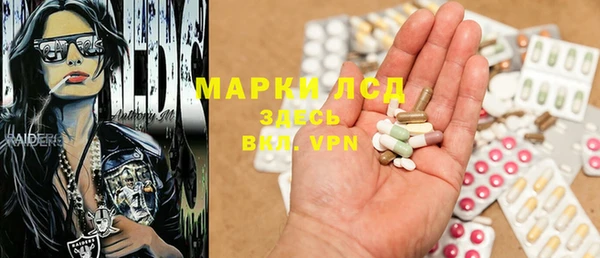 трава Аркадак